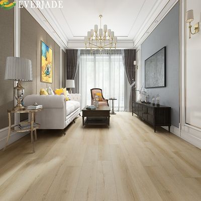 Projeto de Design Gráfico Solução Capacidade Aquário SPC Pavimento em madeira Cor do piso