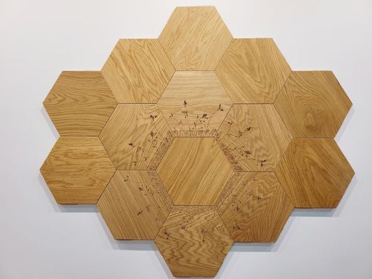 Pavimento de madeira de engenharia tipo parquet Pavimento de madeira em madeira de madeira de madeira de madeira de madeira de madeira de madeira de madeira de madeira de madeira de madeira de madeira de madeira de madeira de madeira de madeira de madeira de madeira de madeira de madeira de madeira de madeira de madeira de madeira de madeira de madeira de madeira de madeira de madeira de madeira de madeira de madeira de madeira de madeira de madeira de madeira de madeira de madeira de madeira de