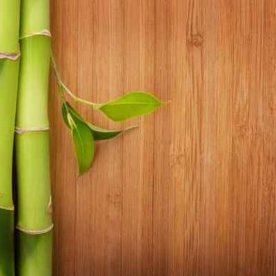 Pavimento de bambu sólido moderno para piso de prancha de madeira longa popular